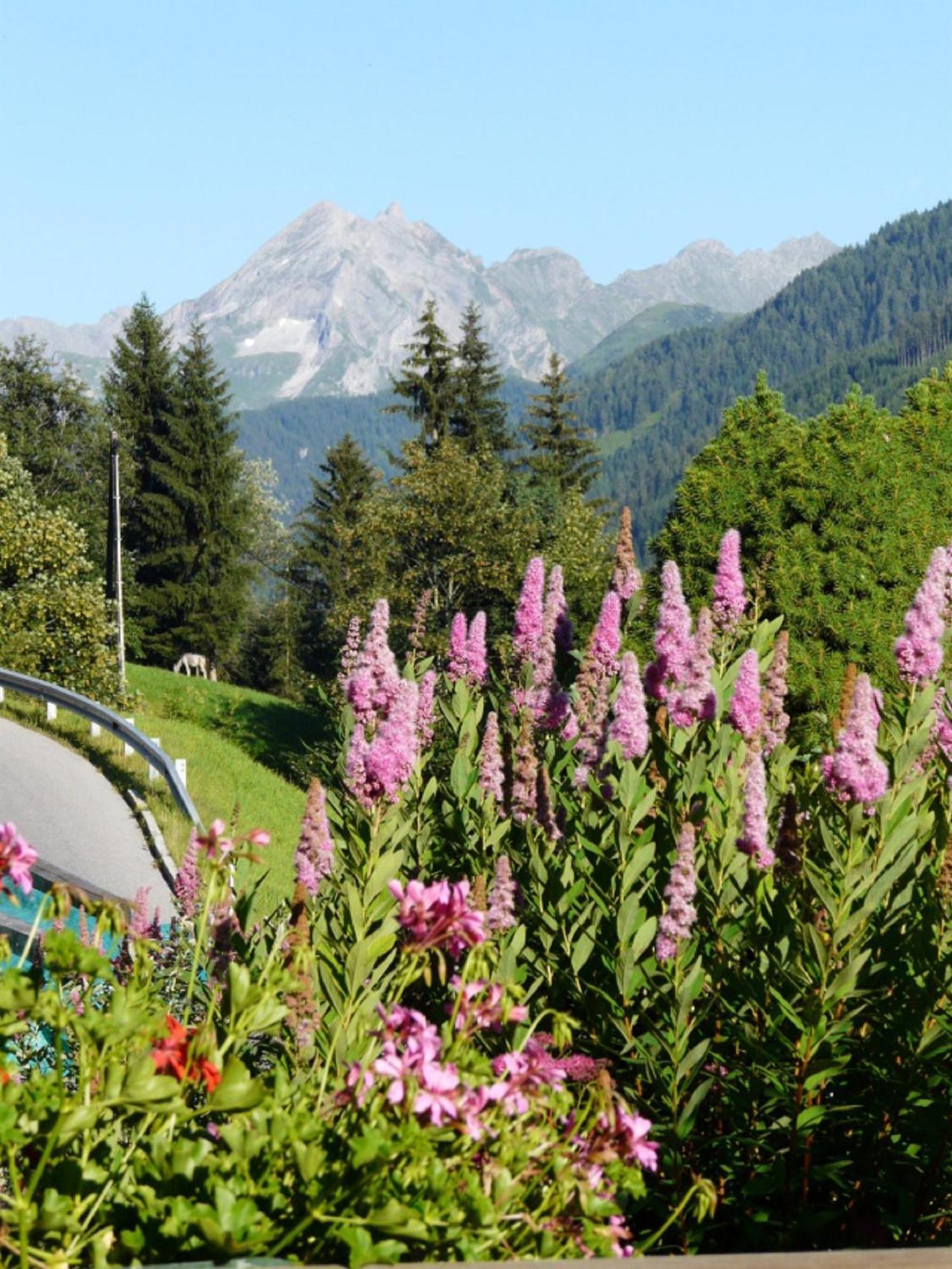 Haus Kammerland Zell am Ziller Exterior photo